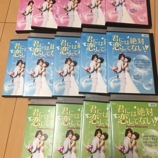 君には絶対恋してない！全14巻DVD