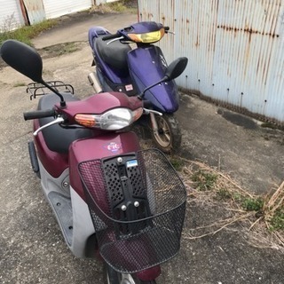 原付 Dio Fit