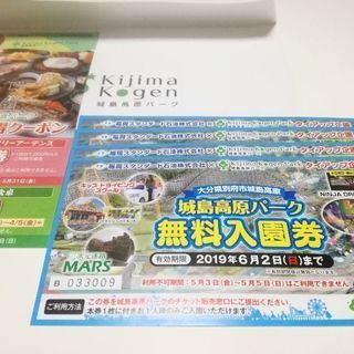 城島高原パーク　無料入園券　4枚セット