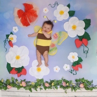 おひるねアート撮影会♪ 春のアートの画像