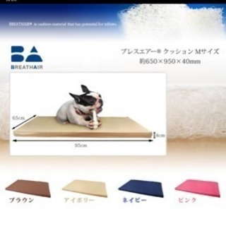 老犬介護用マット他