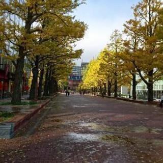 失敗しないための相続手続き無料相談実施中! 