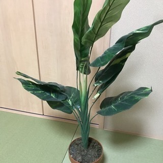 フェイクグリーン