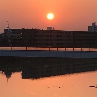 ✨✨全国グルチャメンバー大、大、大募集🎵🎵🌸🌷🌸🌷🌸