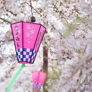 写真サークルですがカメラ好きの人募集はじめました。