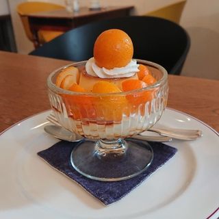 桜散歩＆カフェ会 3/28(木) メンバー募集