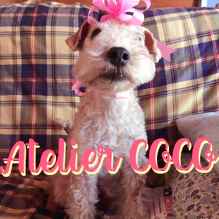 クラシックバレエ教室　Atelier COCO