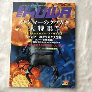 BE KUWA の画像