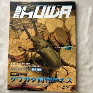 BE KUWA の画像