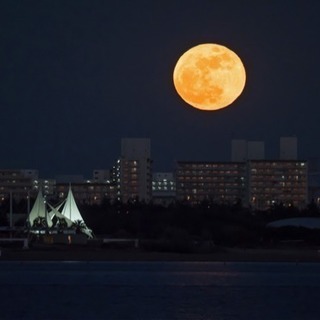 満月の夜はムーンカード