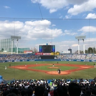 ヤクルトのグルチャメンバー募集❗️