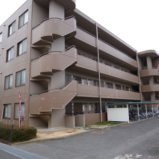 敷金礼金ゼロゼロ　ジョイフル本田　荒川沖店　近く　2F　エレベーターあり　身体障害者の方歓迎の画像