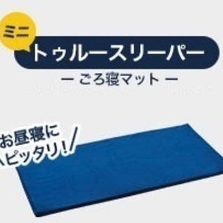 トゥルースリーパーごろ寝マット 47×110