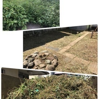 除草＊芝刈り＊草刈りお任せ  庭の手入れ店【所沢市 狭山市入間市清瀬市朝霞市~】 − 埼玉県