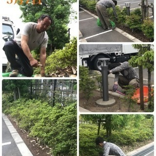 除草＊芝刈り＊草刈りお任せ  庭の手入れ店【所沢市 狭山市入間市清瀬市朝霞市~】 - 剪定/造園