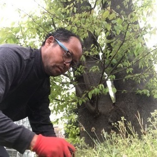 除草＊芝刈り＊草刈りお任せ  庭の手入れ店【所沢市 狭山市入間市清瀬市朝霞市~】 - 地元のお店