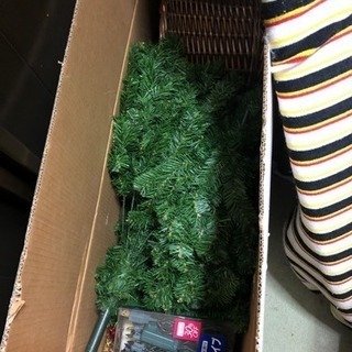 大きなクリスマスツリー