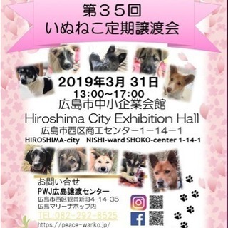 第35回  いぬねこ定期譲渡会