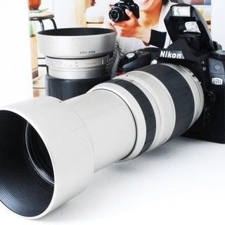 ★超名機★ビギナー向け★届いてすぐ使える★ニコン D70 300mm Wズーム！ゆうパック代引き発送！送料、代引き手数料無料！