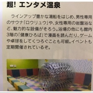  ♨️1250円お得♨️大人2名分です♨️豊の国健康ランド 大人...