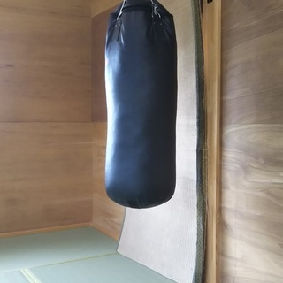誠桜流武術　飛燕館道場の画像