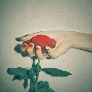 写真、作品撮りに興味のある方