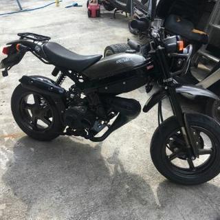 ストリートマジック50の画像