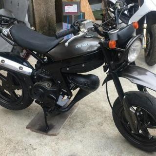 ストリートマジック50