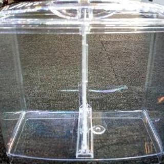 ベタのケース 展示品美品の画像