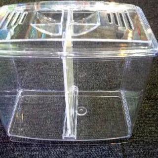 ベタのケース 展示品美品の画像