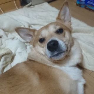 悲しいけど(;´д｀)♂️です。