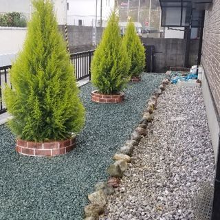 高知県内出張　植木屋です。東から西へお伺い致します。剪定、草刈り、お庭に関する事ご相談ください。年中無休にて見積りお伺い致します。遠方の方もお気軽にご相談ください。お庭お手入れ千樹園は年間200件の作業実績あります！TEL08056636000迄の画像