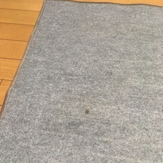 ０円！ホットカーペットの画像