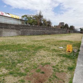 中年からの素人キャッチボール - 墨田区