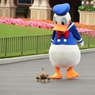 【全国】ディズニー好きグループ(*^^*)