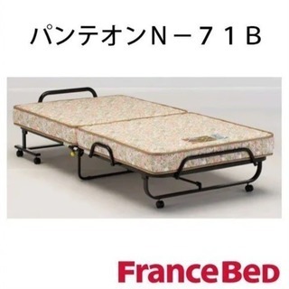 直接引き取り限定 フランスベッド パンテオン N-71B ベッド...