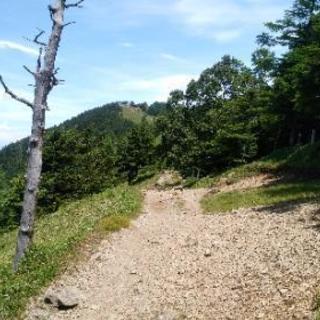 ◆東村山◆登山&ウォーキング(ダイエット)仲間募集