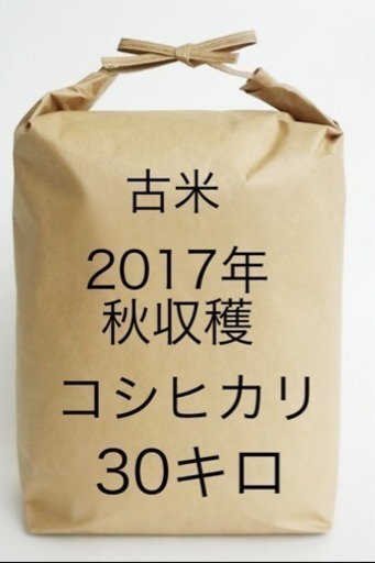 古米30キロ！コシヒカリ