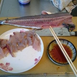 海釣り行きませんか？　フィッシング　長野　新潟　上越　糸魚川 - スポーツ