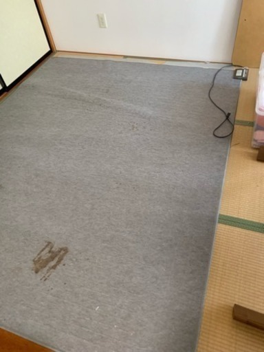 電気カーペット 本日受け渡し