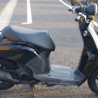 ホンダ トゥデイの画像