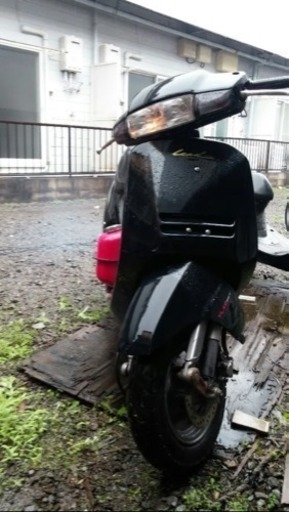 リード50 ジャンク