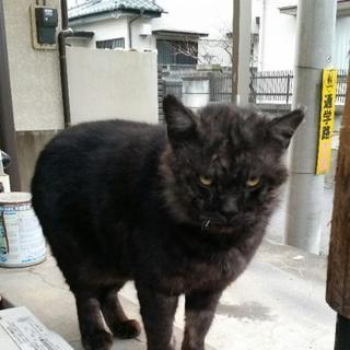 暇です。今から佐野か栃木市で