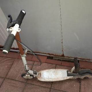 キックスケーター　ゴーゴー？！