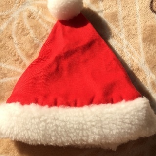 ペット用サンタ帽子、クリスマス、犬、猫
