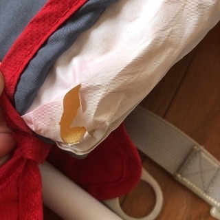 inglesina イングリッシーナの画像