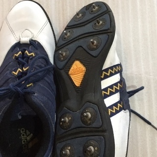 ゴルフ用レディースシューズ　２４ｃｍ　〈アディダス〉の画像