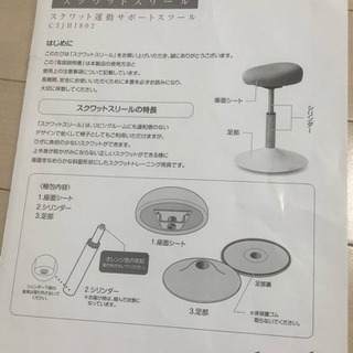 ミズノ スクワットスリールの画像