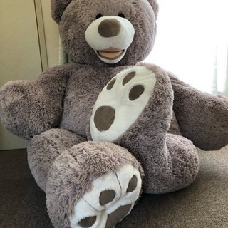 特大くまさん ぬいぐるみ