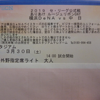 3月30日 横浜スタジアム ライト外野席2枚 横浜ベイスターズv...